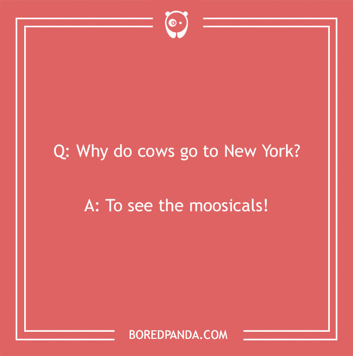 118 Wildly Amazing Animal Jokes