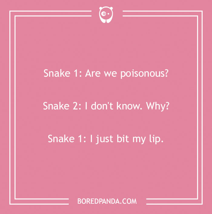 118 Wildly Amazing Animal Jokes