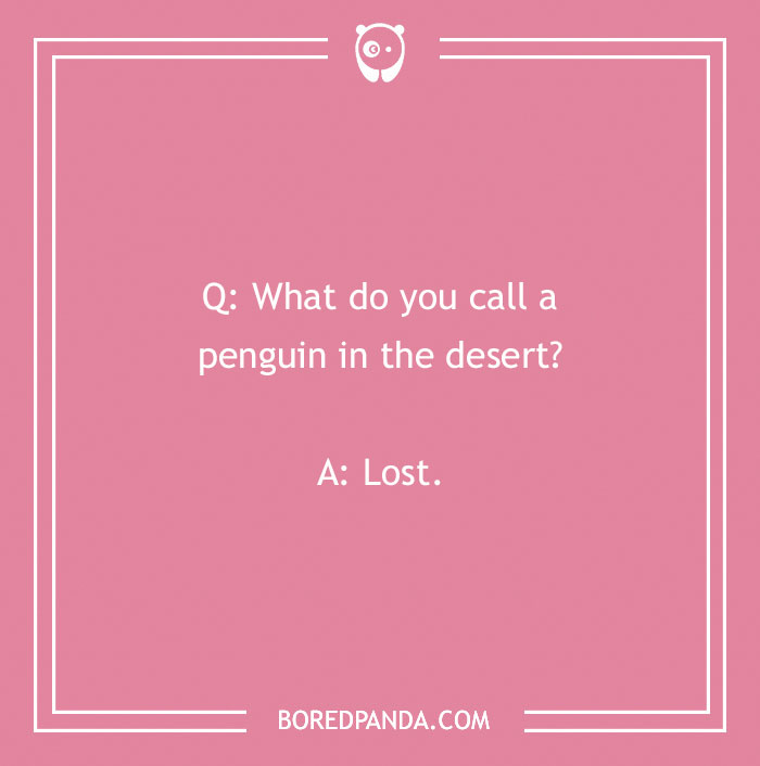 118 Wildly Amazing Animal Jokes