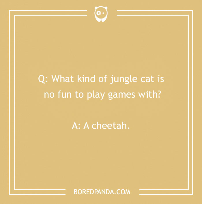 118 Wildly Amazing Animal Jokes