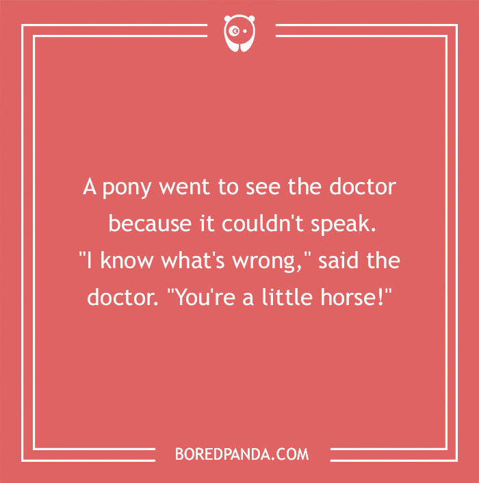 118 Wildly Amazing Animal Jokes