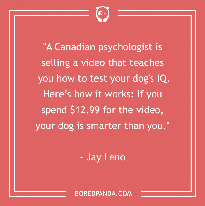 118 Wildly Amazing Animal Jokes