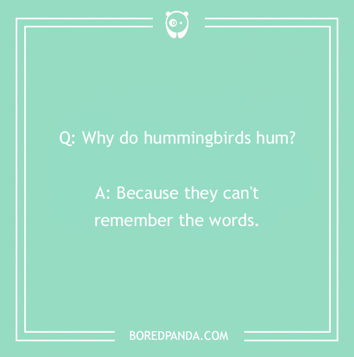 118 Wildly Amazing Animal Jokes