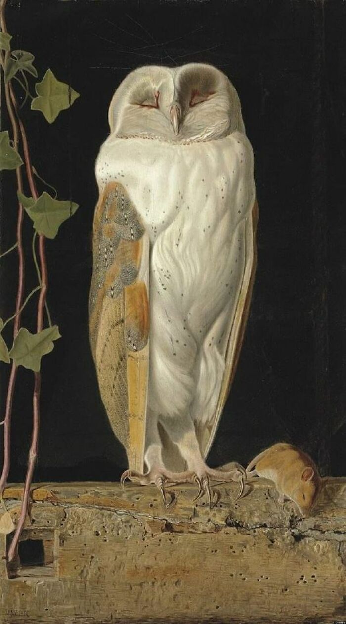 The White Owl, William James Webbe, 1856