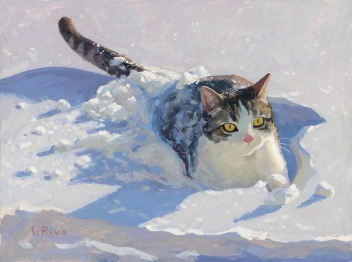 Cat In The Snow, Cat In The Snow, 2022