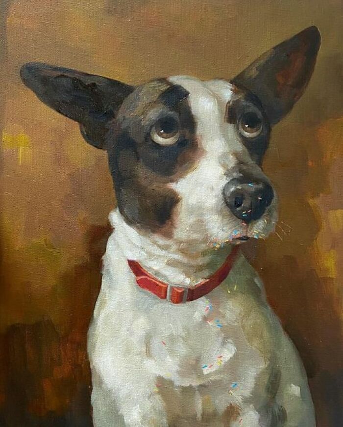 I Don't Know Anything About Any Doughnut, Alison Friend,2023