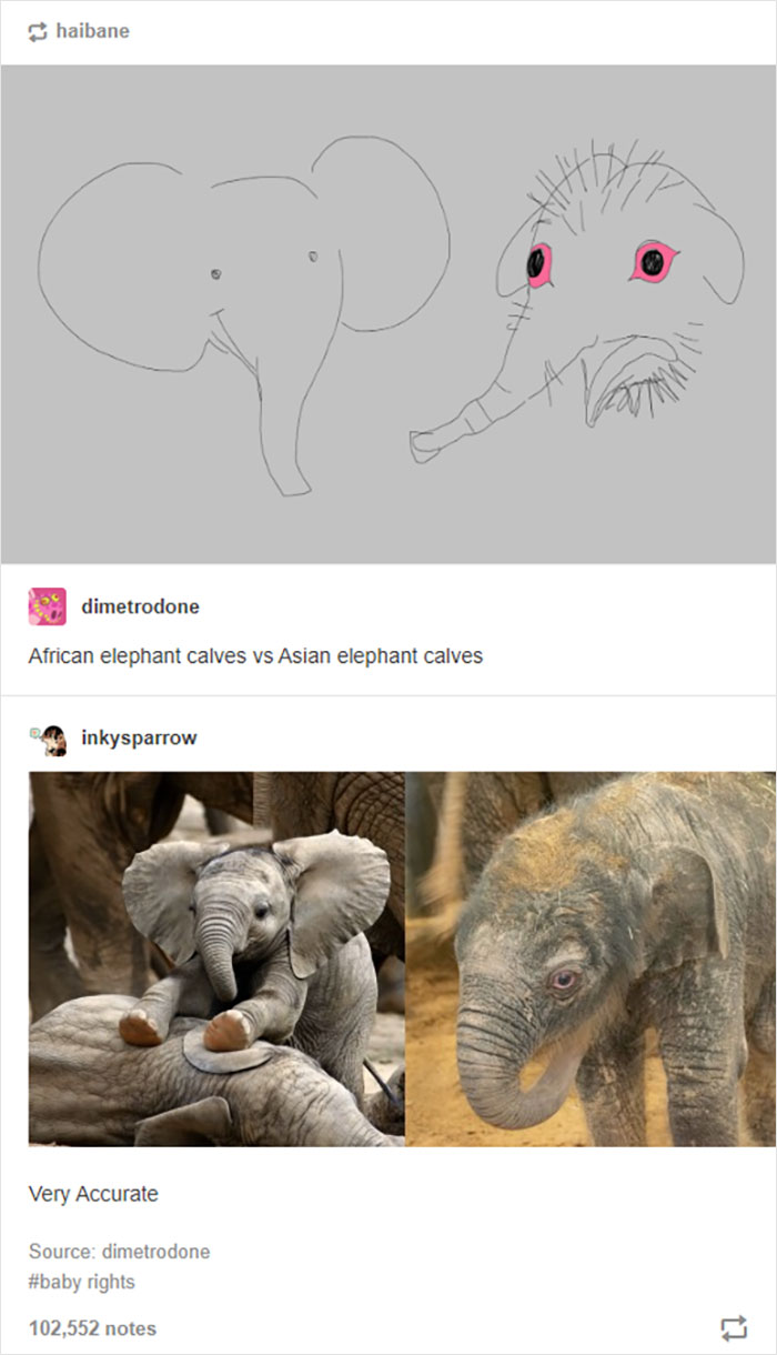 Antisocial-Butterfly-Memes-Jokes