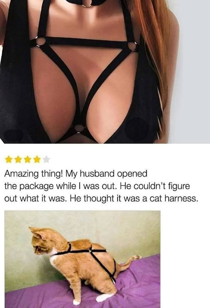 Antisocial-Butterfly-Memes-Jokes