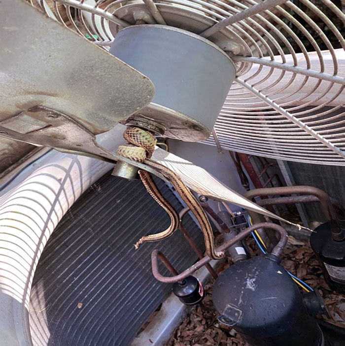 Living Room Was Super Hot This Morning