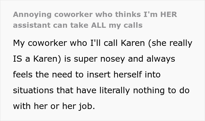 Power-Tripping Karen Acts Like A Coworker Is Her Assistant, Comes To Regret It