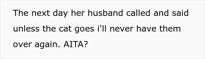 Sister Freaks Out Over Brother's 'Demonic' Cat, Bans Him From Seeing Her Kids Unless The Cat Goes