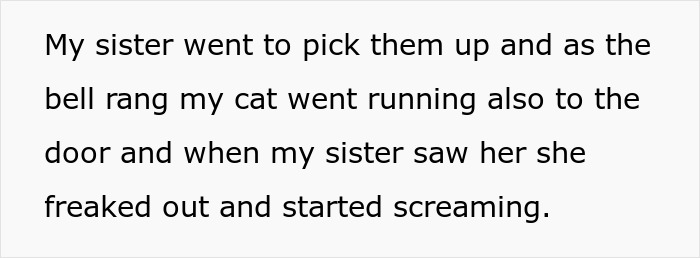 Sister Freaks Out Over Brother's 'Demonic' Cat, Bans Him From Seeing Her Kids Unless The Cat Goes