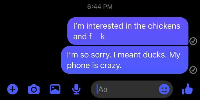 Text message showing a humorous autocorrect error involving chickens and ducks from a normal text conversation.
