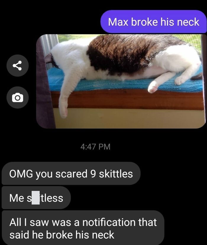 Text conversation showing an autocorrect fail where a cat's photo is mistaken as a serious injury, illustrating autocorrect mess ups.
