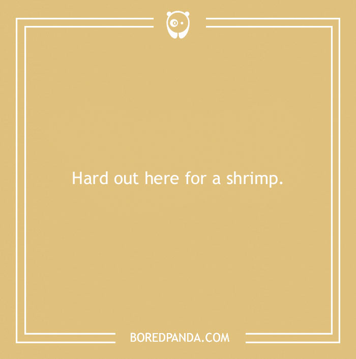 Beach pun on a tan background reading hard out here for a shrimp, related to beach puns and wordplay by Bored Panda.