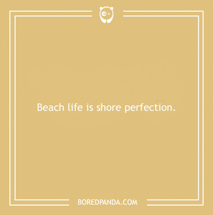 Beach pun on a beige background saying beach life is shore perfection, featuring a simple white frame and boredpanda.com logo.
