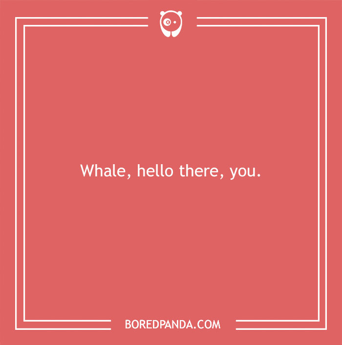 Beach pun on a coral background saying Whale, hello there, you, part of a collection of beach puns to make you roll in the water.