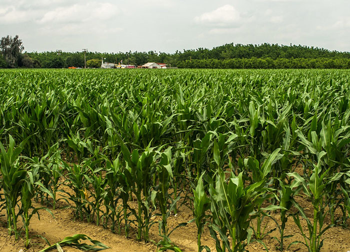 30 Biggest Hoaxes That Some People Still Believe In