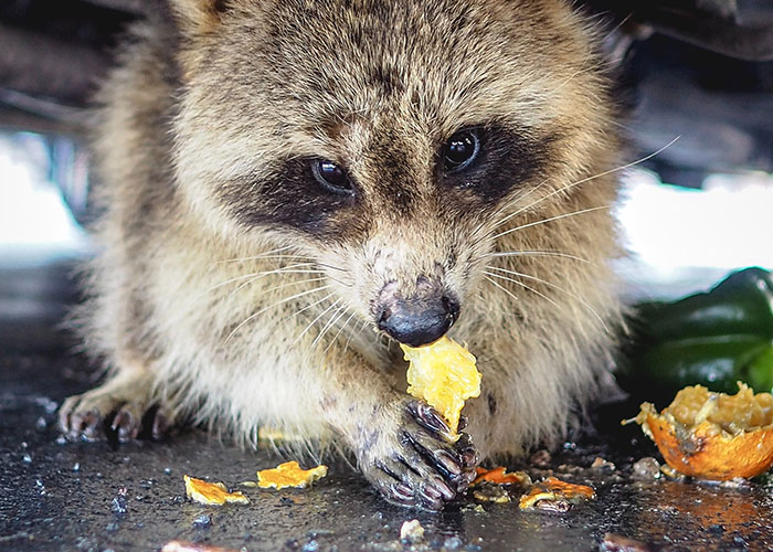 29 Restaurant Red Flags That Mean You Should Probably Not Eat There