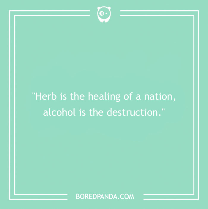 161 Inspirational Bob Marley Quotes From The Reggae Icon - 23