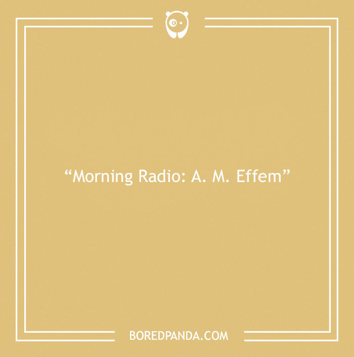 Text on image reads: "Morning Radio: A. M. Effem" on a beige background, showcasing book puns.