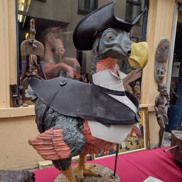 A Dressed Up Dodo