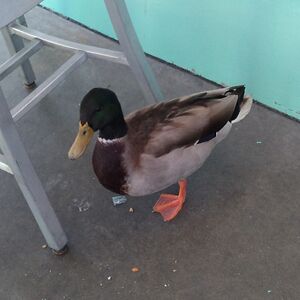 aj_thomas0711 avatar