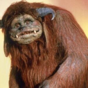 jacquelinewilliams avatar