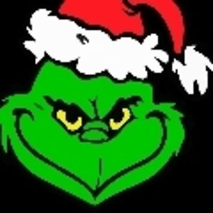 erlindamaldonado avatar