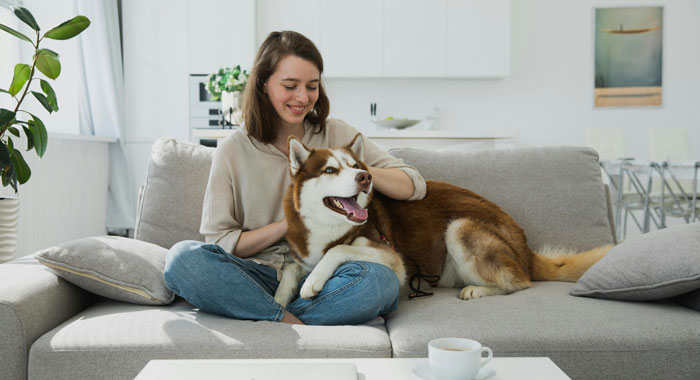 Can Dogs Laugh? Understanding Your Dog’s Sense of Humor