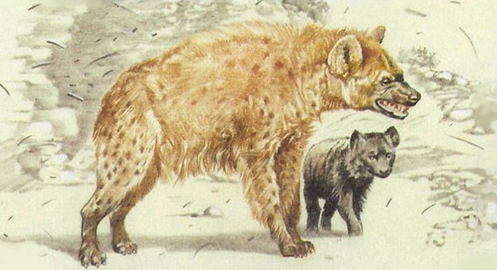 Scientists Bring Wooly Rhinoceros Back To Life With The Help of Prehistoric Fecal Matter