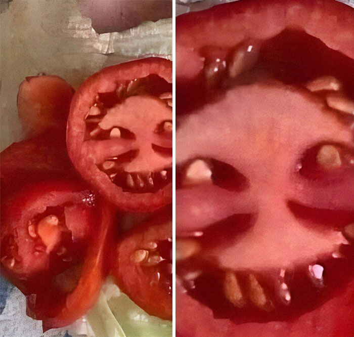 Chaotic-Food-Funny-Pics