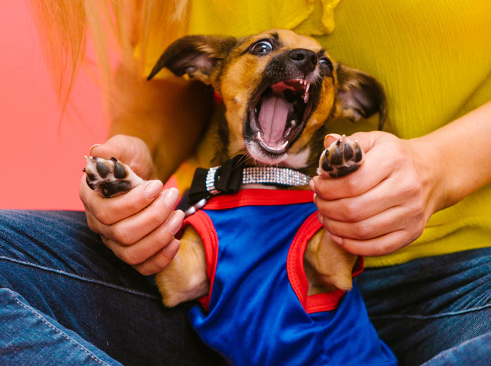 “[Am I The Jerk] For Refusing To Bring My Daughter To Her Grandparents’ House On Thanksgiving?”