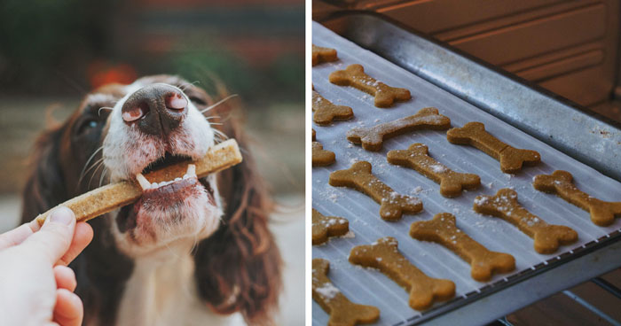 Christmas Dog Treats: Homemade Dog Treats