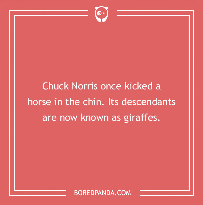 Chuck Norris joke about kicking a horse, saying its descendants are now giraffes, on a red Bored Panda background.