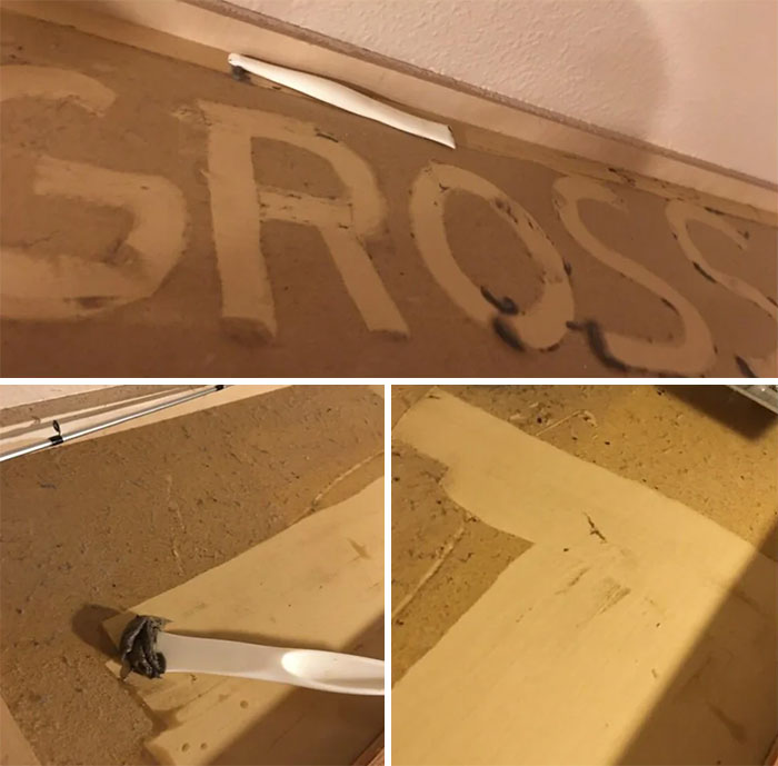 I’ve Dusted The Top Of My Cabinets For Years Thinking It Was Raw Pressed Wood. Nail Slipped And Scraped Some Up Today, And This Was Ultimately Revealed