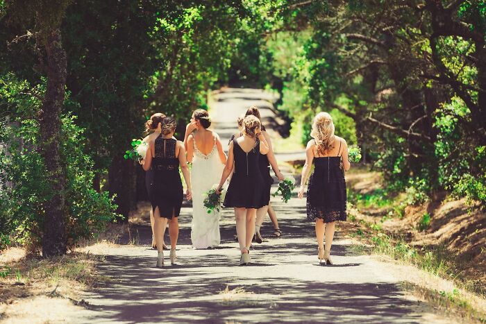 Bride and bridesmaids walking on a tree-lined path, a scene reflecting moments that made people think a divorce was coming.