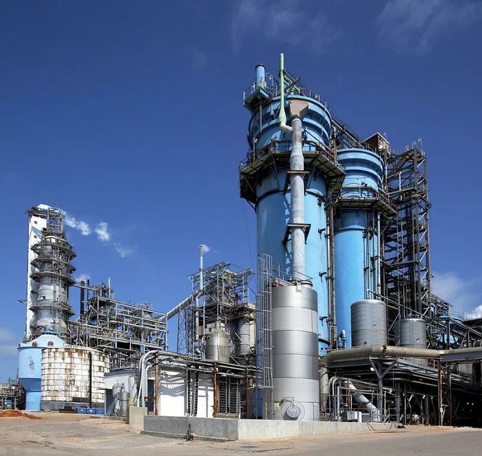 50 Pieces Of ‘Uplifting News’ From 2023 For Those Who Are Fed Up With The Bad News