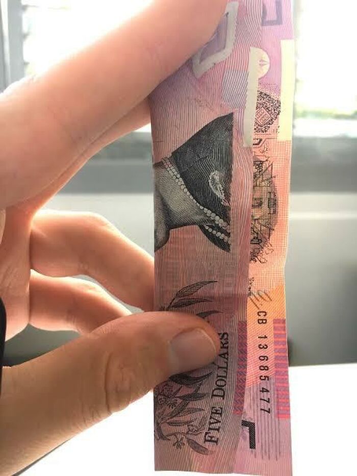 50 Pieces Of ‘Uplifting News’ From 2023 For Those Who Are Fed Up With The Bad News