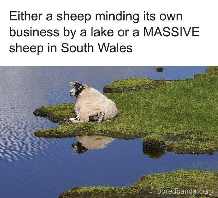 Funny-UK-Memes-Laughssuk