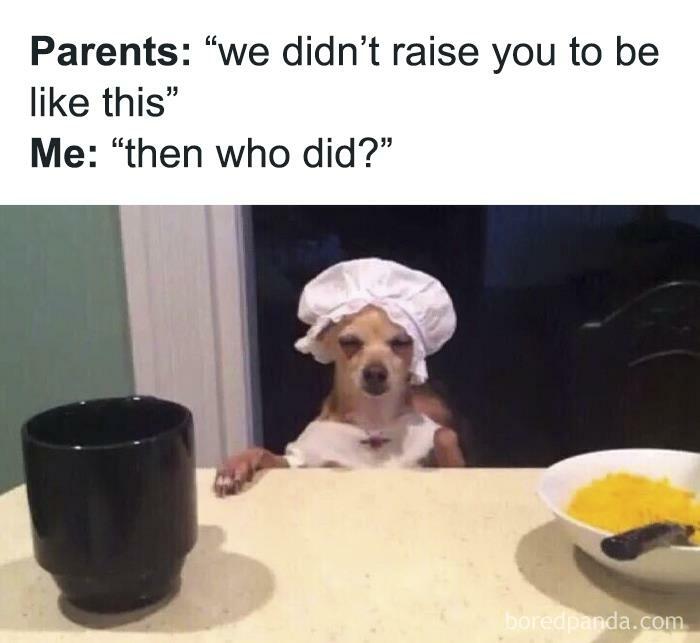 Dog wearing a chef hat with humorous meme text about parenting.