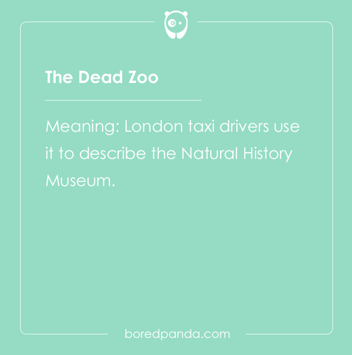 Professional Code Words That Have Become Public Knowledge