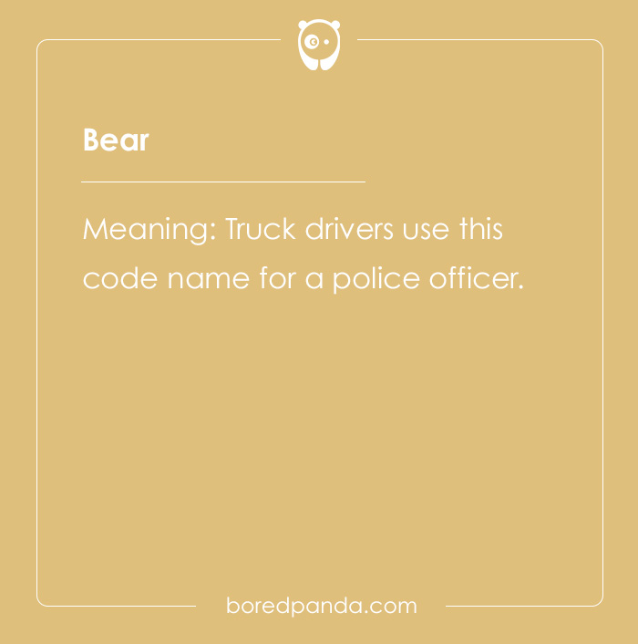 Professional Code Words That Have Become Public Knowledge