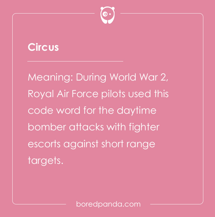 Professional Code Words That Have Become Public Knowledge