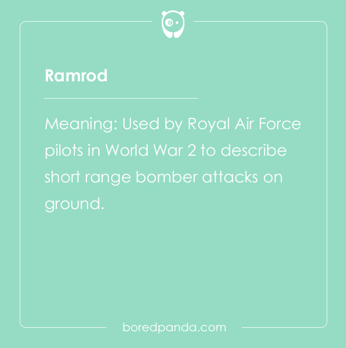 Professional Code Words That Have Become Public Knowledge