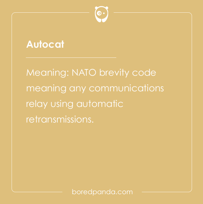 Professional Code Words That Have Become Public Knowledge