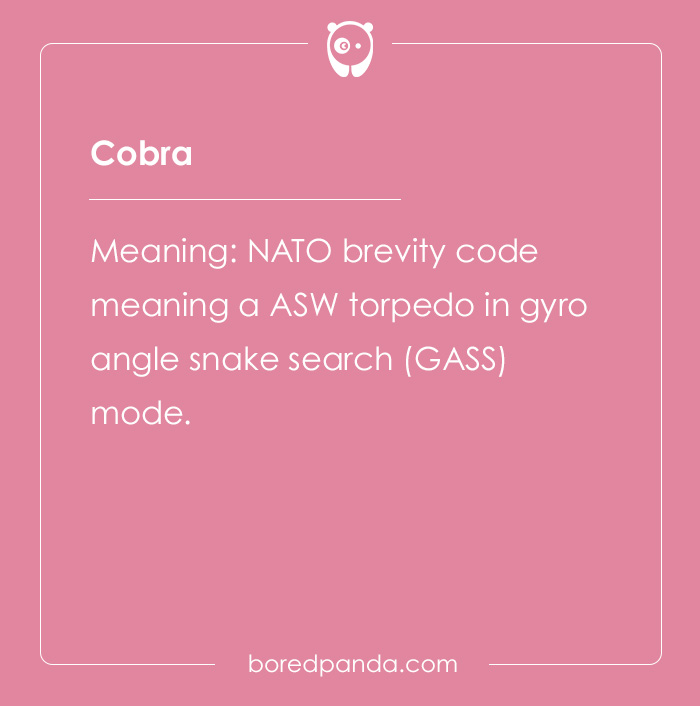 Professional Code Words That Have Become Public Knowledge