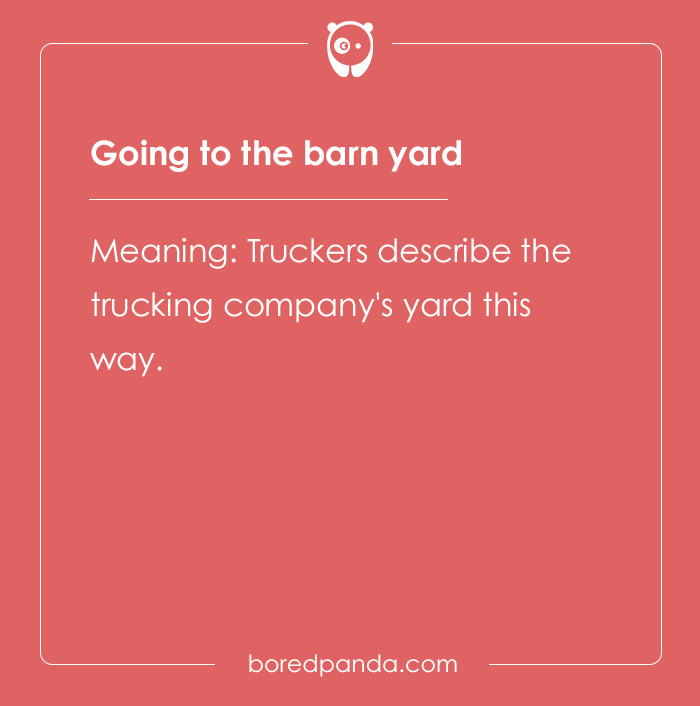 Professional Code Words That Have Become Public Knowledge