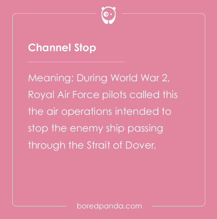 Professional Code Words That Have Become Public Knowledge