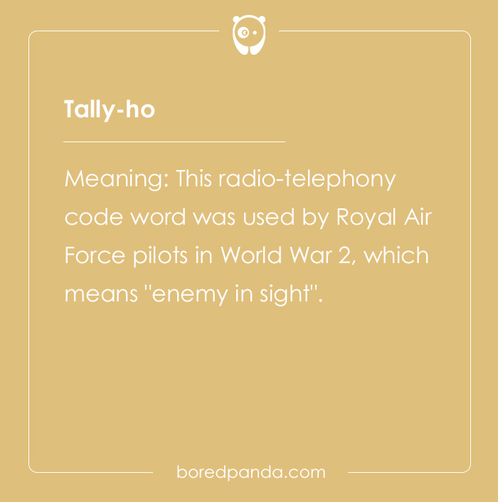 Professional Code Words That Have Become Public Knowledge